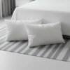 Organic Cotton King Bedsheet Set in White